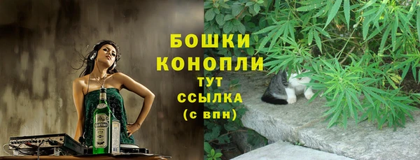 молекула духа Дмитровск