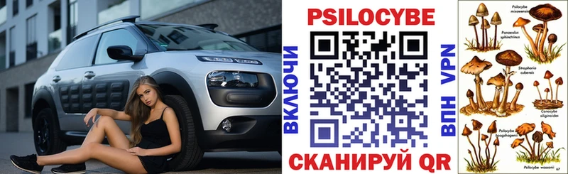 Галлюциногенные грибы Psilocybe  Свирск 